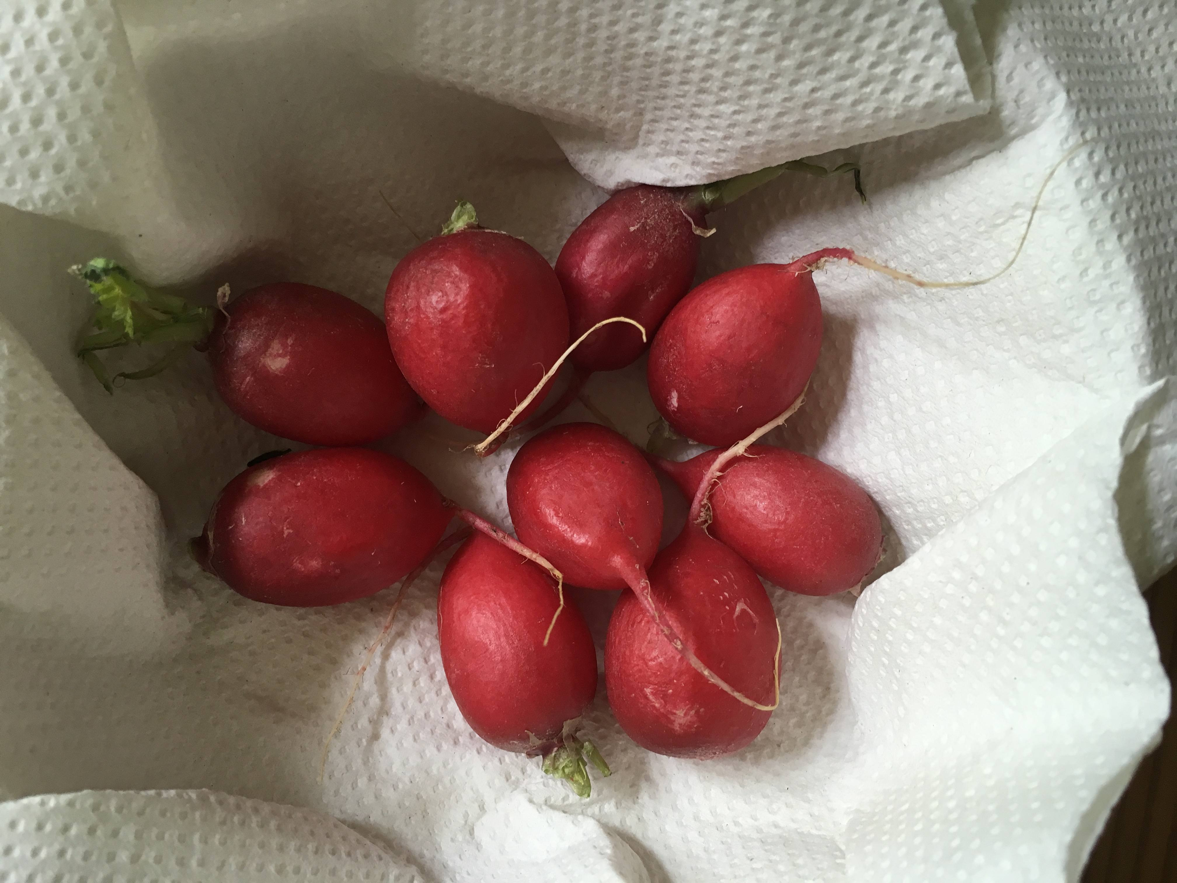 groente en fruit. iedereen lust ze graag vers. en waar koop je ze beter dan bij je lokale boer of tuinder